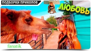 ПРИКОЛЮХА #8 ПРИКОЛЫ подборка приколов Декабрь 2015 приколы 2015 жесть ржака угар ржач компиляция