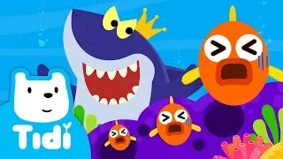 King Shark Song ♪ | Animal Songs | Sing Along | Tidi Songs for Children★Tidi Kids