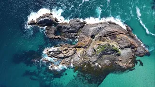 Seal Rocks & Smiths Lake | Barrington Coast