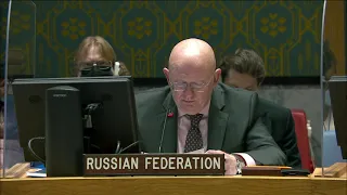 Statement by Amb.Vassily Nebenzia at UN Security Council briefing on the situation in Yemen