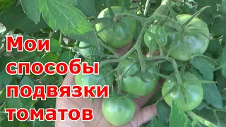Какими разными способами я подвязываю помидоры в теплице. Как легко вырастить томаты на шпалере