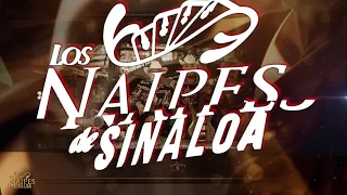 Las Parrandas Del Sinaloa | Los Naipes De Sinaloa