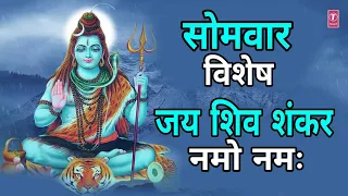 सोमवार विशेष: शिव जी के भजन | जय शिव शंकर नमो नमः | Shiv Ji Ke Bhajans |Jai Shiv Shankar Namo Namah