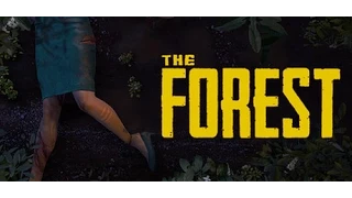 The Forest:Как поиграть по сети с другом на пиратке.CO-OP.