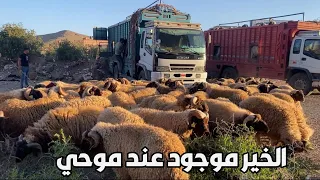 شوفو الحولي لي جاب موحي من أجلموس كي داير.. تبارك الله
