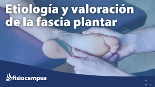 Etiología y valoración de la fascia plantar