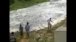 Farmers welcoming Kaveri River in TN🇮🇳🕉🔱