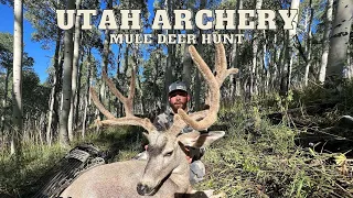 100 Yard Bomb | |  Utah Archery Mule Deer Hunt