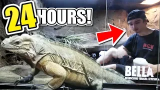 HE DID IT!! 24 HOURS IN WITH MY LIZARD (Bella) And a VERY MEAN SNAKE!! | BRIAN BARCZYK