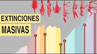 ¿Fueron 5 las extinciones masivas en la Tierra?