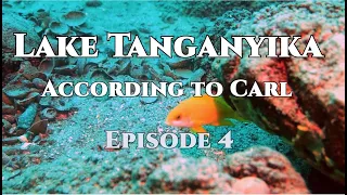 Lake Tanganyika According to Carl, episode 4