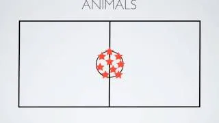 P.E. Games - Animals