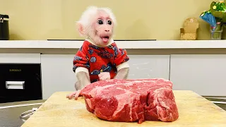 Chef Bibi monkey cooks Steak breakfast! 8 months old Bibi can hold a Fork