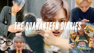 seventeen had to go under self-quarantine and this is what happened.. (the quaranteen diaries)