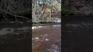 Pennsylvania Fly Fishing Ressica, up top,fast water Nymphing