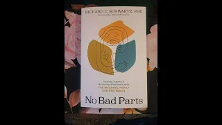 "No Bad Parts"  Chapter 1.1: We're All Multiple  - Richard Schwartz