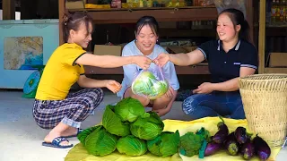 Harvest cabbage and eggplant gardens for sale, Grow new plants, choose seeds for the new crop