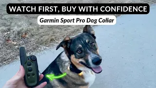 The Garmin Sport Pro E-Collar Has SO Many Features! These are my favorite for a stress-free walk.