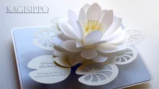 pop-up card__Water lily 2021