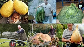 As maiores Frutas e Vegetais do Mundo - Alguns são Verdadeiros Monstros da Natureza!!!!