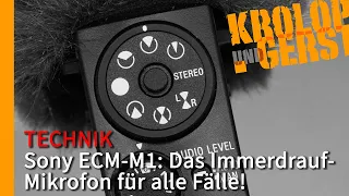 Sony ECM-M1: Das Immerdrauf-Mikrofon für alle Fälle! 📷 Krolop&Gerst