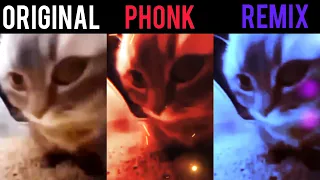 Chipi Chipi Chapa Chapa Original vs Phonk vs Remix