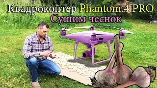 DJI Phantom 4 Pro(Фантом 4 ПРО)  и чеснок