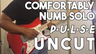 Comfortably Numb PULSE Uncut Solo