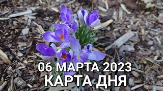 06 марта 2023 | карта дня | все знаки зодиака 🃏🍀💫