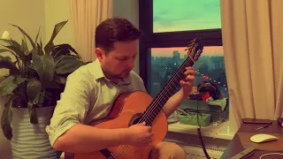 Pat Metheny The Past in Us (classical guitar cover)