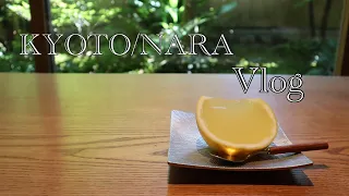 【日常Vlog】京都/奈良/美味しいもの巡り/ランチ/モーニング/カフェ時間