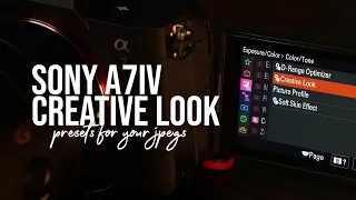 SONY A7IV CREATIVE LOOK | Comparing Different Creative Look