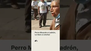 Perro muerde a ladrón que iban a linchar - N+