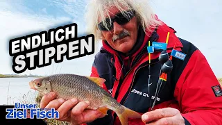 PURER SPASS mit der WHIP - STIPPEN mit KONTROLLE - Unser Ziel ist Fisch - Angelschule mit JÖRG OVENS