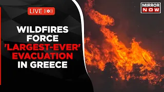 Greece Wildfires LIVE | Largest-Ever Evacuation As Tourists Flee Rhodes Wildfire | Latest World News