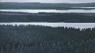 Akira Ifukube: Arctic Forest (1945)