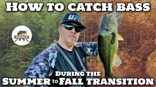 How To Catch Bass During The Summer To Fall Transition - Fall Bass Fishing Tips