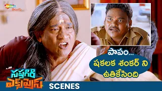 Raising Raju Tortures Shakalaka Shankar😂 | Sapthagiri Express Movie Best Scenes | Roshini | Shemaroo