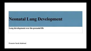 Neonatal Lung Development.