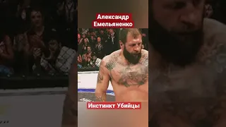 Александр Емельяненко - Уничтожил Габриеля Гонзагу.