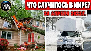 Катаклизмы за день 24 АПРЕЛЯ 2022! Пульс Земли! #flooding #снегопад катаклизмы сегодня наводнение