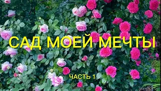 Розы. Сад моей мечты!!! Приглашаю на вечернюю прогулку. Как же он сейчас красив!!! Часть 1. 🌹🌹🌹