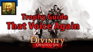 Divinity Original Sin "That Voice Again" Trophy Achievement Companion Wolgraff