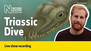 The fossil marine reptiles of the Triassic | Live Talk with NHM Scientist