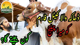 Dhakawala Cattle Farm First Vlog of Bakra Eid 2022 Collection | Cattle Market Karachi | Qurbani Cows