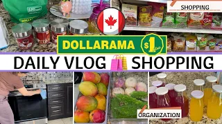 Daily Fullday Productive Indian Mom Realistic Home Kitchen Organization Vlog Dollarama Shopping Haul