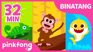 Kumpulan lagu binatang dan lagu Baby Shark | Lagu Anak Indonesia | Pinkfong dan Baby Shark