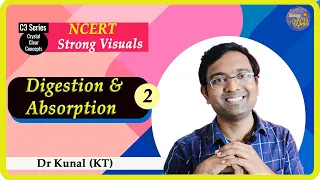 Digestion and Absorption  I Lec 2 I NEET I Dr Kunal (KT)
