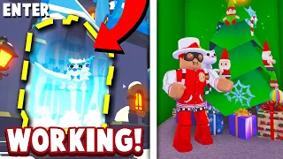 HOW TO GET INSIDE THE FROST FURY GATE! Adopt Me Christmas Update 2020 Glitch Winter Castle Door