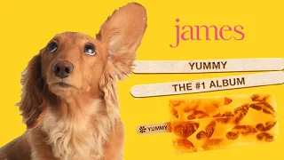 James "Yummy" Review! A #1 Alternative Album Worth Listening To Start To Finish In 2024?!?